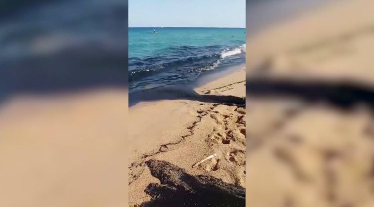Un fotograma del vídeo que va enregistrar un usuari de la platja. Julián González