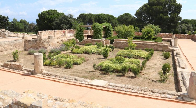 Pla obert de la ciutat romana del jaciment d'Empúries. ACN