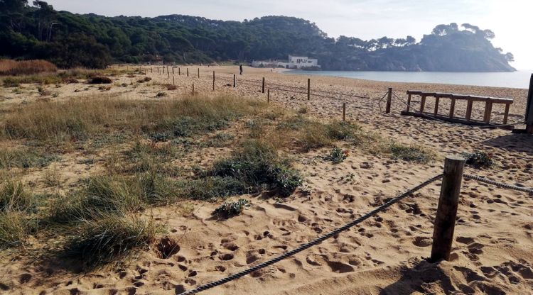 La zona on es troba el sistema dunar de la platja de Castell de Palamós, que ara s'ha tornat a perimetrar per evitar que els banyistes el malmetin