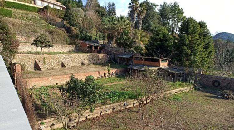 Els terrenys que comprarà l'Ajuntament d'Arbúcies al darrera de la nova llar de jubilats