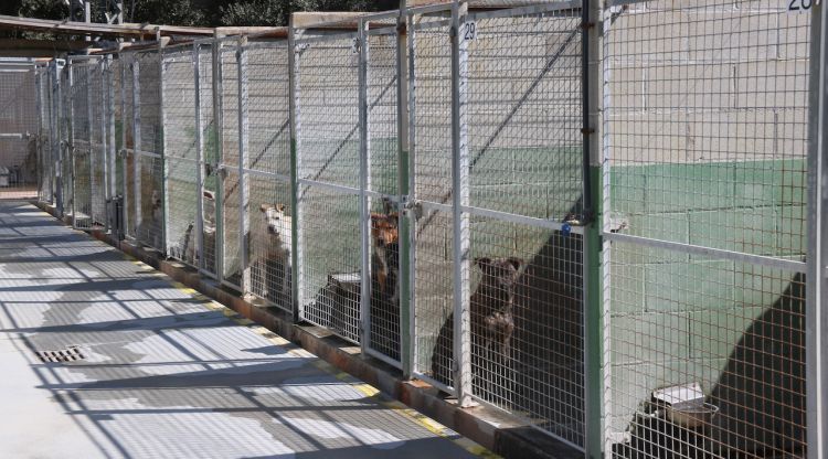 Unes gàbies del Centre d'Acollida d'Animals de la Selva. ACN