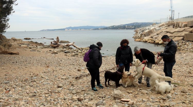 La Platja de Pere Grau, amb els propietaris de gossos que s'oposen a portar-los.. ACN