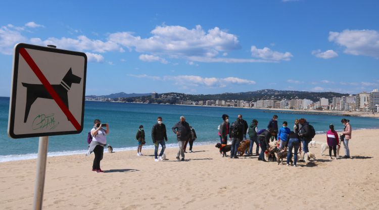 Els veïns manifestant-se davant d'un cartell on es prohibeix el bany dels gossos. ACN