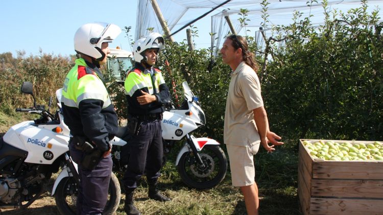 Una patrulla motoritzada dels Mossos d'Esquadra, en un dels camps de conreu de poma de Fontanilles l'octubre passat