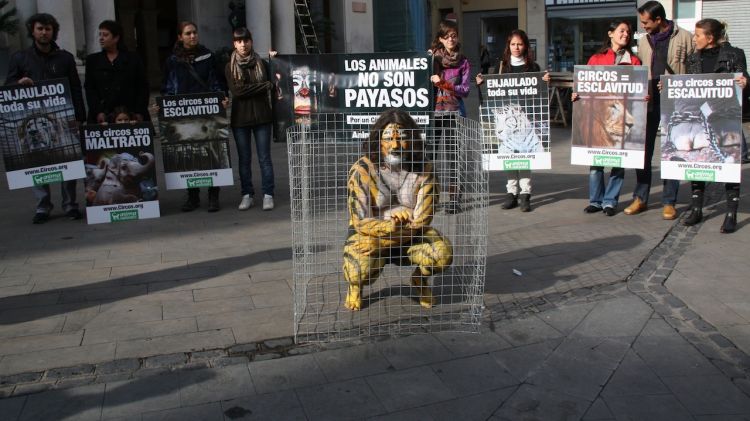 L'activista s'ha tancat enmig d'una gàbia per protestar © ACN