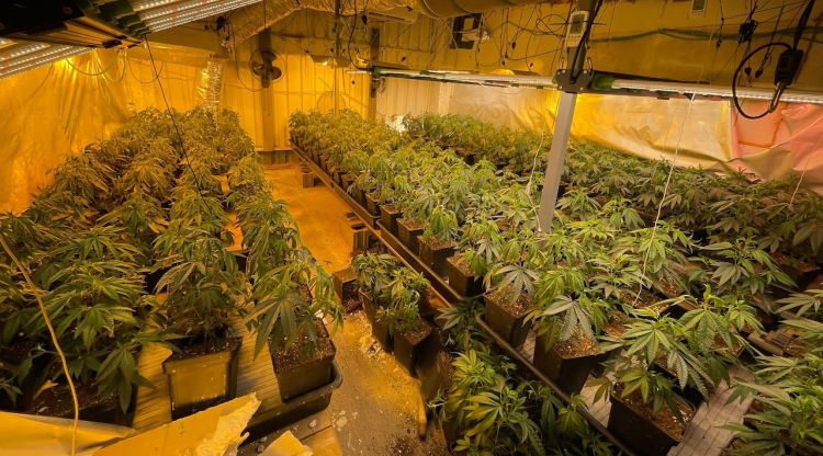 Una nau industrial de Figueres reconvertida en una plantació de marihuana