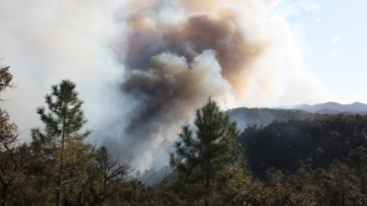 El foc que està cremant una zona muntanyosa prop del municipi de Santa Cristina d'Aro © ACN