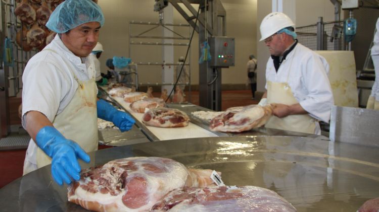 El sector carni confia tornar a recuperar les vendes a Rússia a principis del 2014 © ACN
