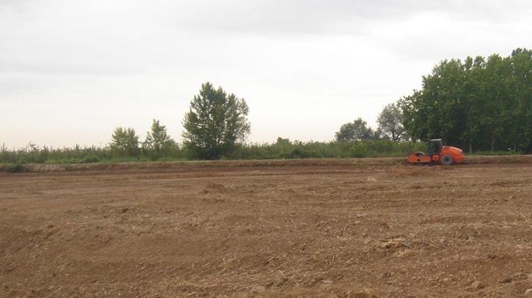 Els terrenys de Torregrossa on Som Energia construeix la planta de biogàs © ACN