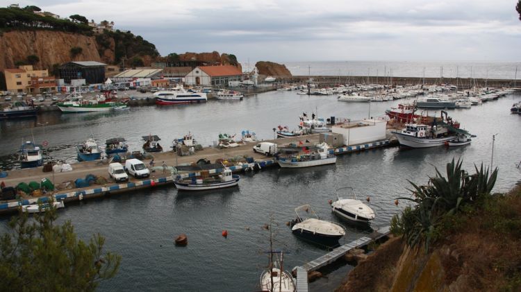 El port de Sant Feliu de Guíxols i al fons © ACN