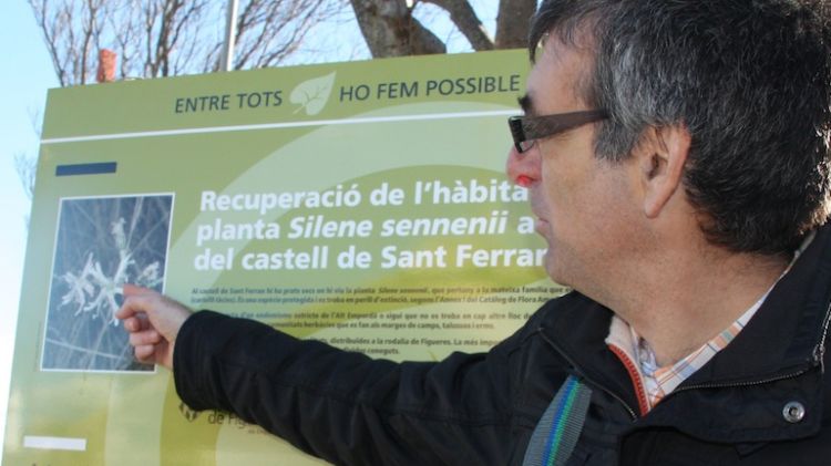 El biòleg Josep Maria Dacosta assenyala un cartell amb un dibuix de la flor 'Silene sennenii' © ACN
