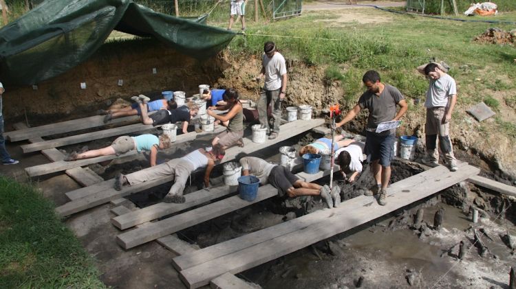 Un equip d'arqueòlegs treballant al jaciment de la Draga (arxiu) © ACN