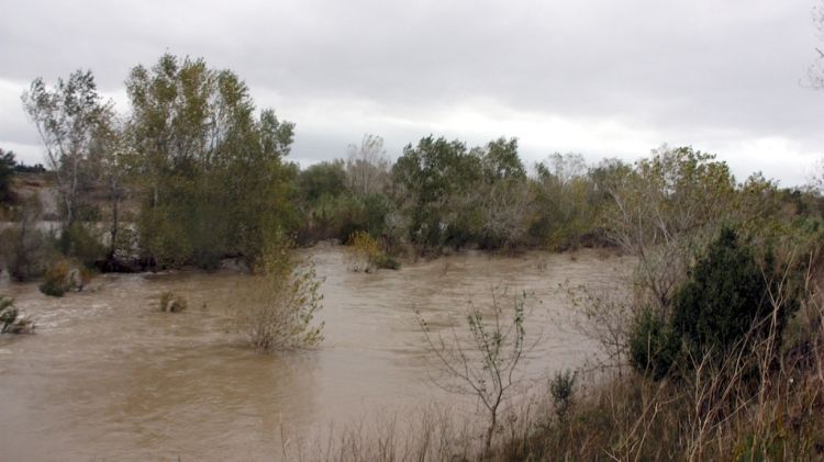 Imatge del riu Fluvia a la zona de Sant Miquel de Fluvià ahir a la tarda © ACN