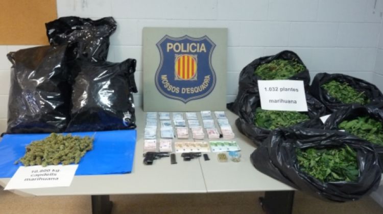 Les plantes de marihuana, els cabdells, els 20.080 euros i les dues armes confiscades © ACN